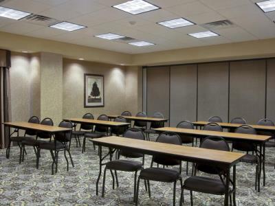 Hotel Hampton And Suites-brownsville